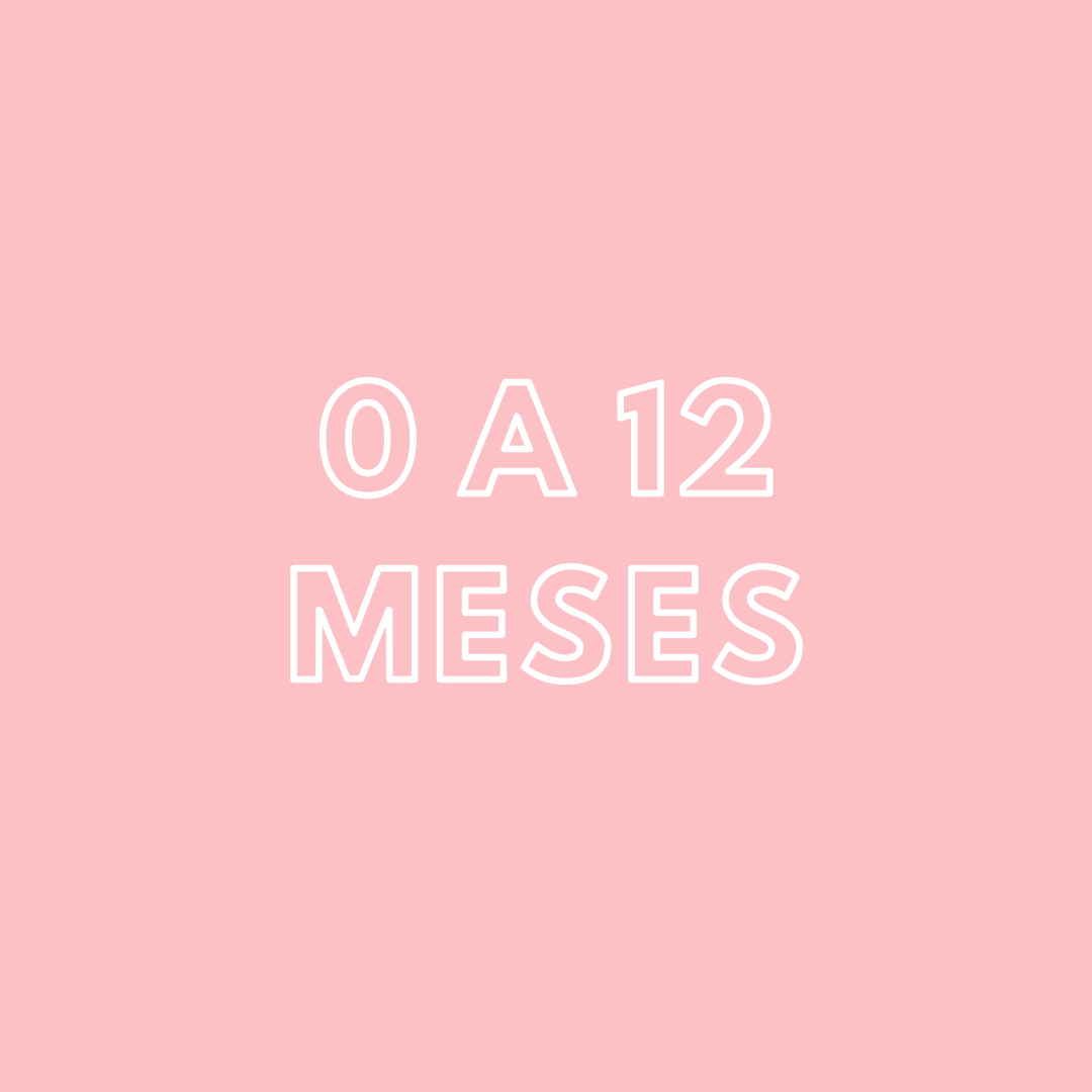 0 a 12 Meses