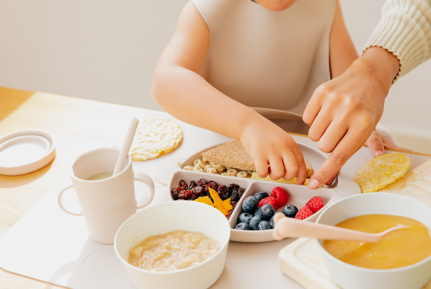 Alimentación